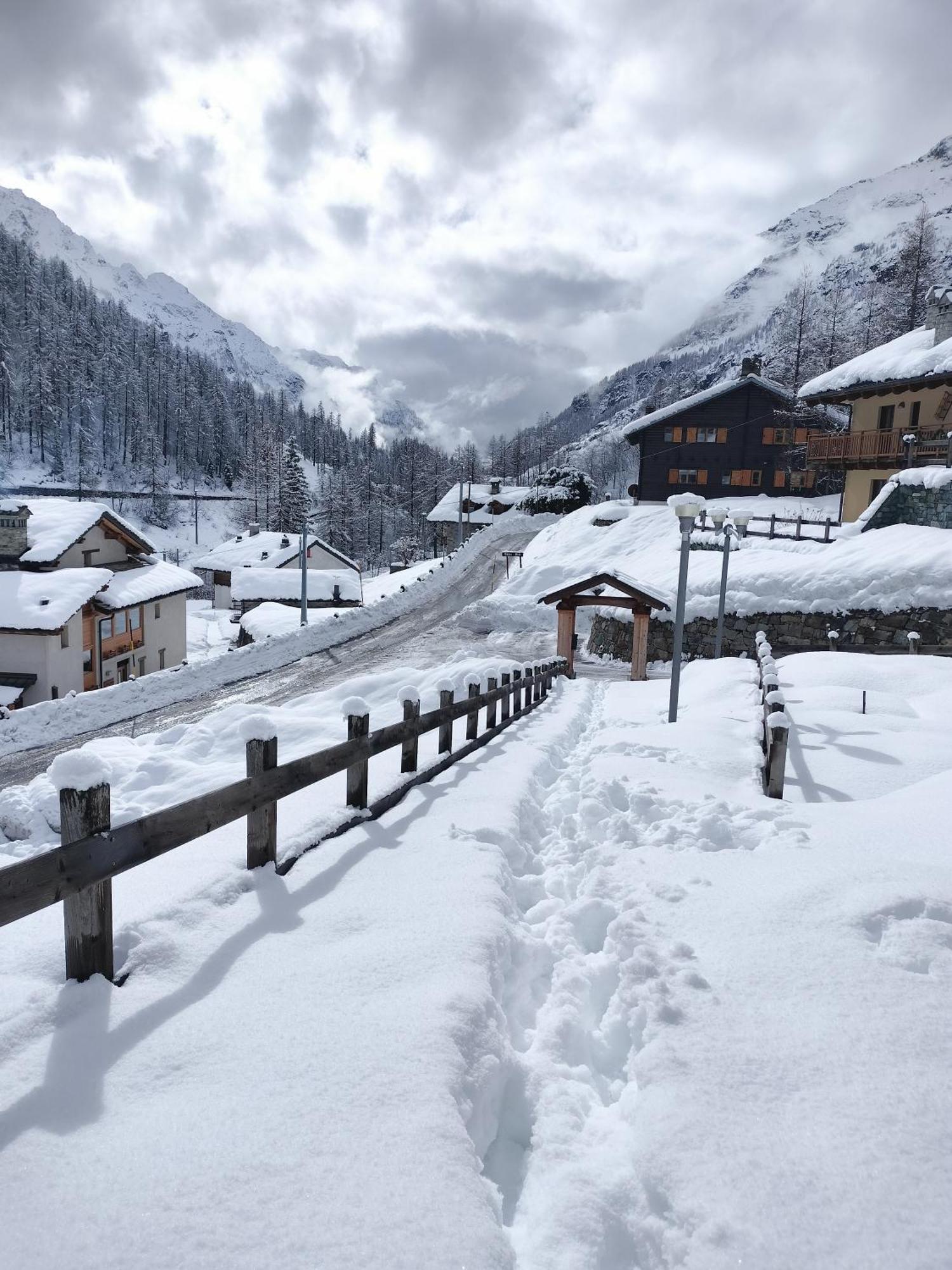 Punta Vittoria Sub 14 - Residence Anderbatt Gressoney - 3 Locali - Cir N 0010 Staval Exterior foto
